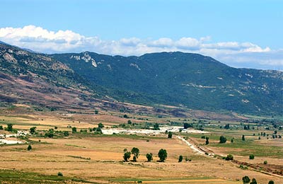 Trova le ultime offerte speciali su AFerry