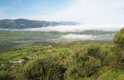 Trova le ultime offerte speciali su AFerry