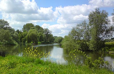 Trova le ultime offerte speciali su AFerry