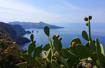 Trova le ultime offerte speciali su AFerry