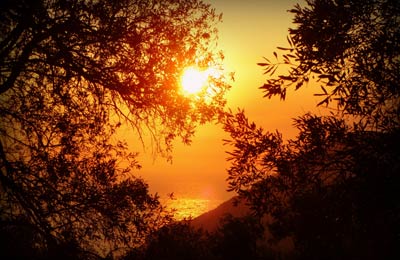 Le migliori tariffe trovate dai nostri clienti