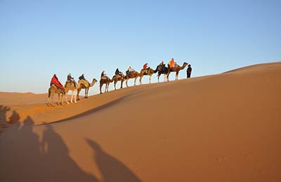 Trova le ultime offerte speciali su AFerry