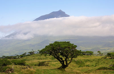Monte Pico Monte Pico