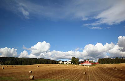Le migliori tariffe trovate dai nostri clienti